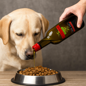 Is Olive Oil Good for Dogs? Here’s What You Should Know