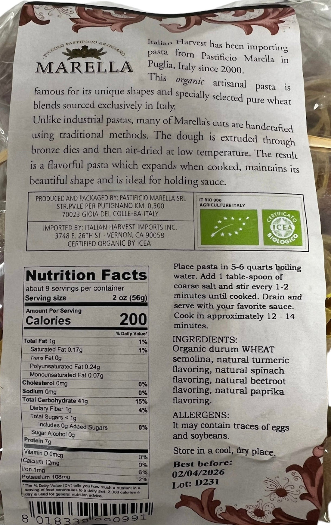 Organic Multicolored Sea Theme back