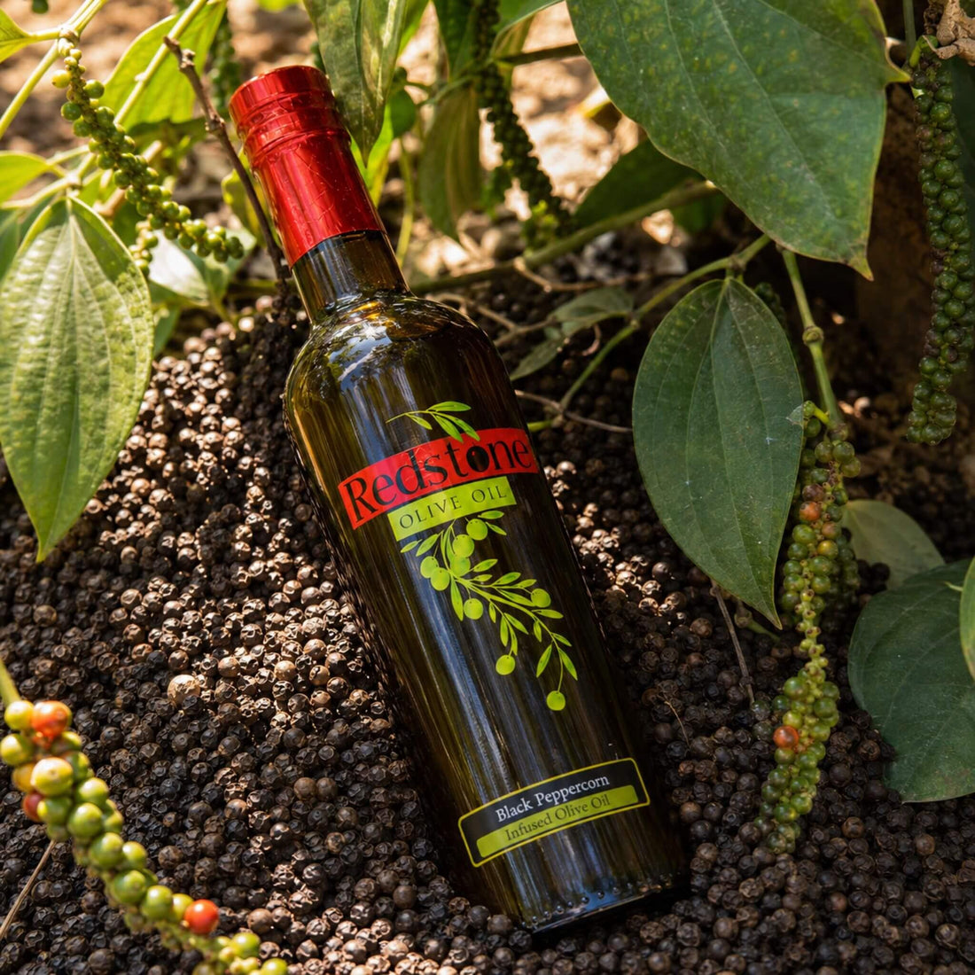 Black peppercorn infused olive oil bottle nestled among fresh peppercorns and green leaves