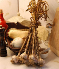 Load image into Gallery viewer, Online sale for I Love Garlic Spice Blends